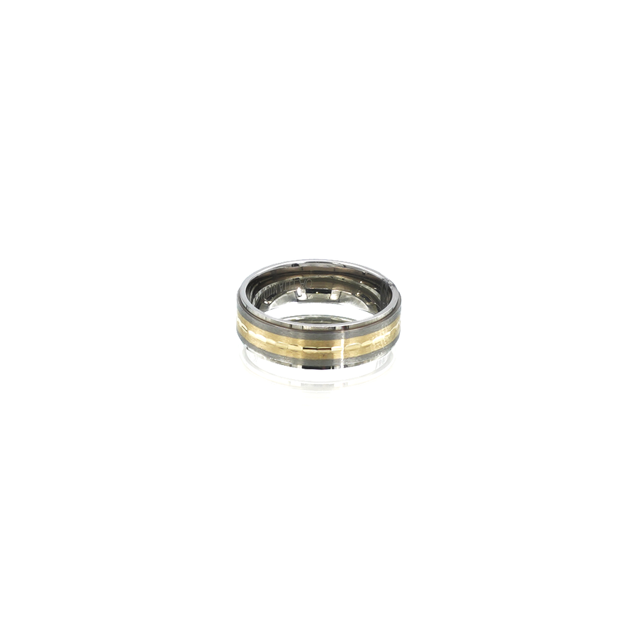 Mens Titanium, 14ct Yellow Gold textured Ring